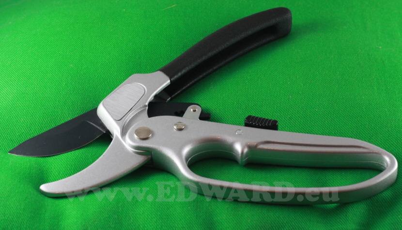 Ratchet scissors Winland