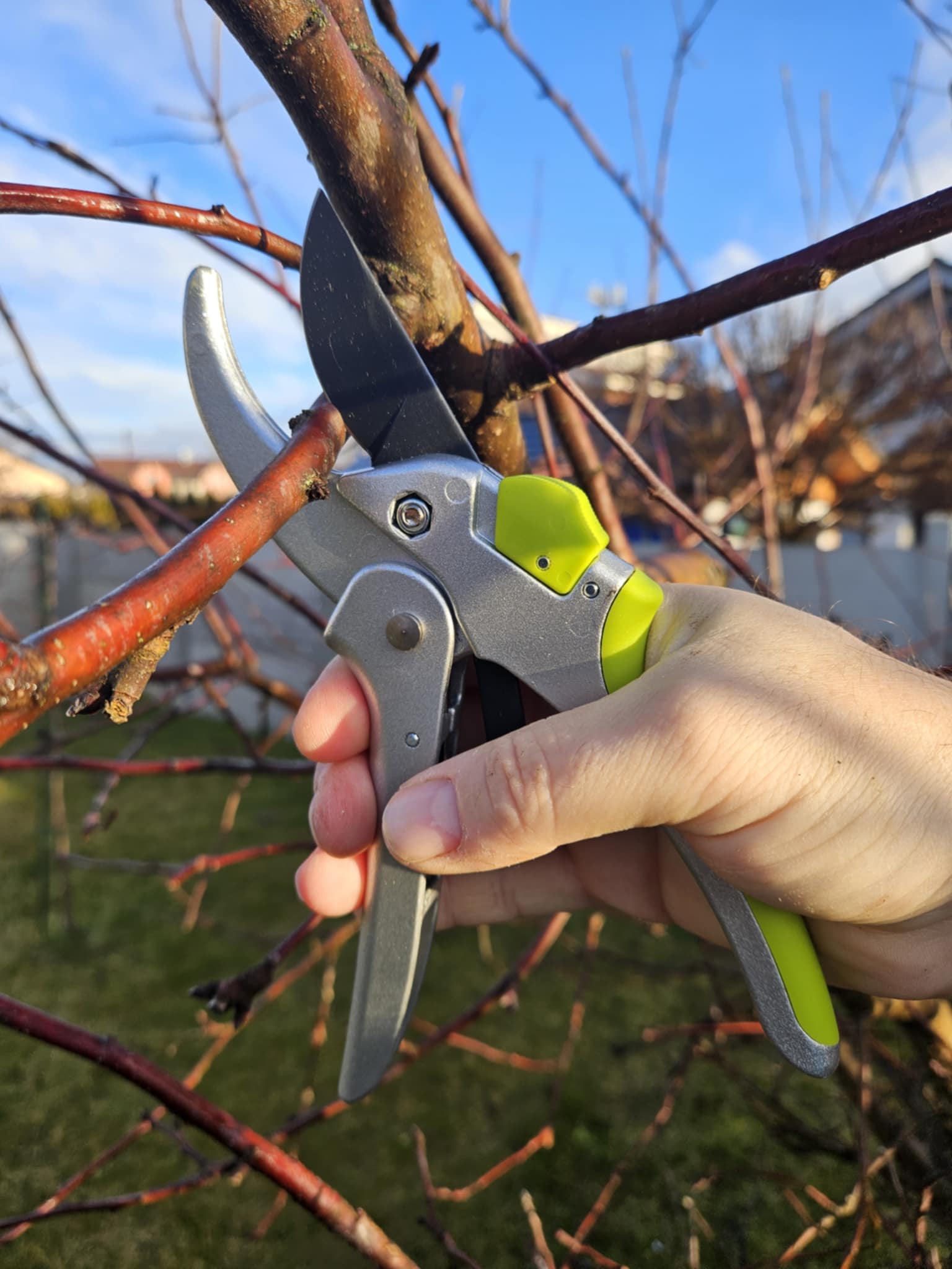 Zahradne nonic OLIVE